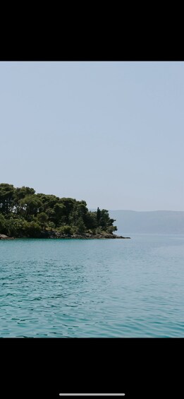 A calm sea, a rocky shoreline, and dense green foliage. 5