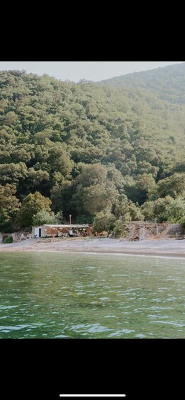 A coastal landscape with a small building near the water's edge, surrounded by dense green forest. 3
