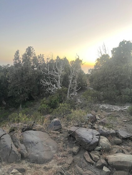 Eine felsige Landschaft mit großen Felsen und spärlicher Vegetation. 5
