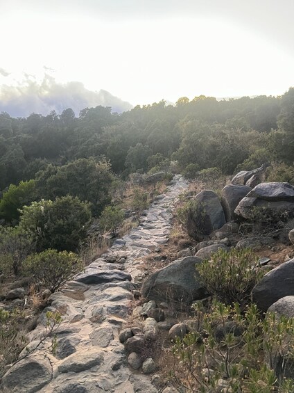 Ein felsiger Pfad durch ein bewaldetes Gebiet mit großen Felsen und spärlicher Vegetation. 3