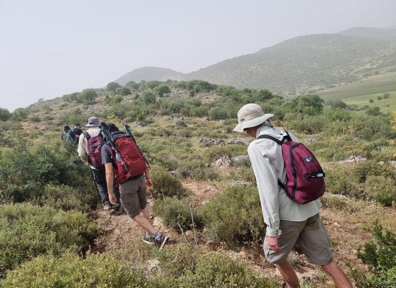 A group of hikers on a trail with a hilly landscape in the background. 3