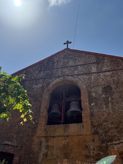 Una iglesia con una cruz en la cima, un campanario con campanas, y un árbol sin hojas en primer plano. 4