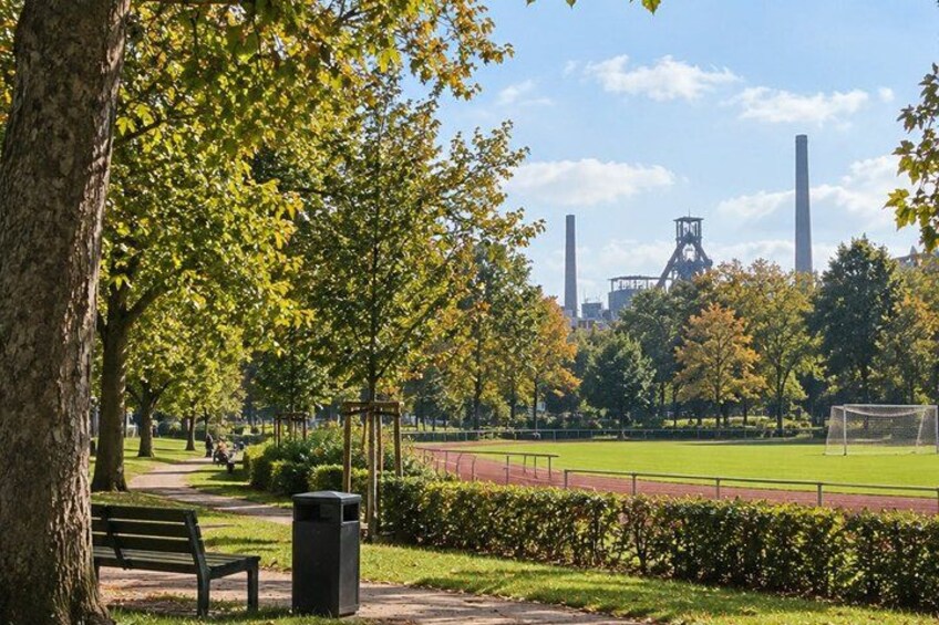 A park with trees, a bench, a trash can, and a soccer field. 2