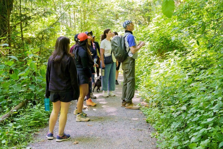 A group of people hiking on a forest trail surrounded by dense greenery. 5