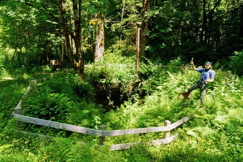 A person in a blue shirt and helmet on a forest trail with dense greenery and a wooden fence. 3