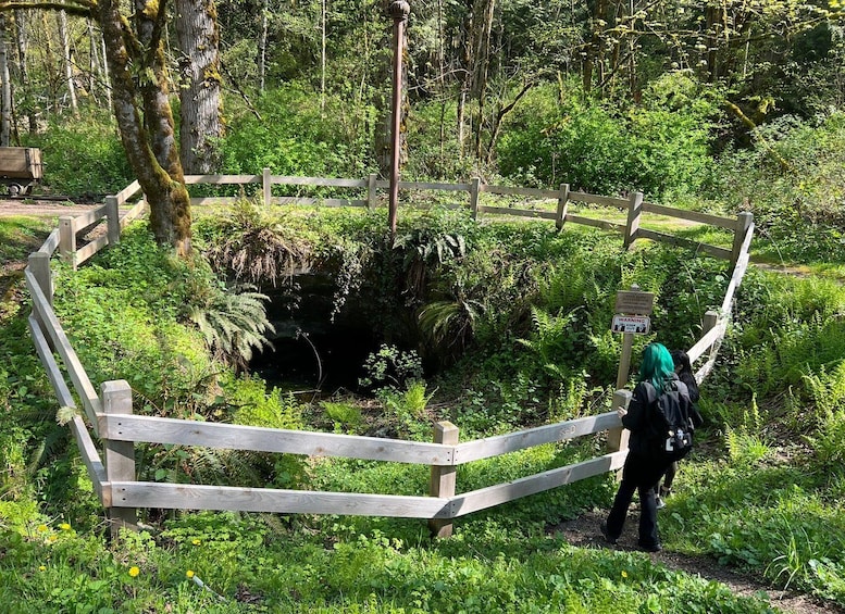 A person standing near a wooden fence in a forested area with a warning sign. 1