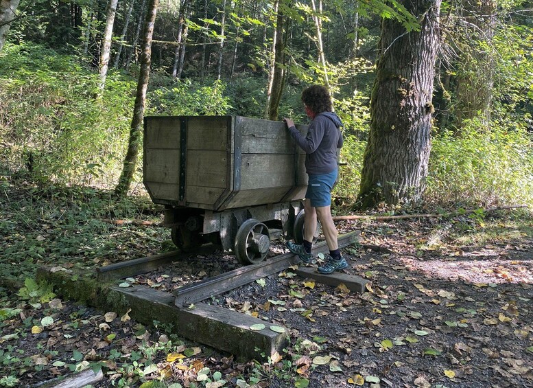 A person pushing a wooden cart on a railway track in a forest. 4