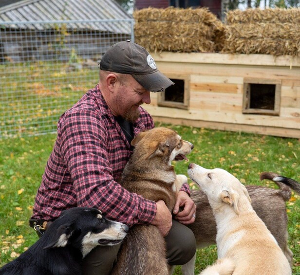 A person sitting on the ground with three dogs. 3