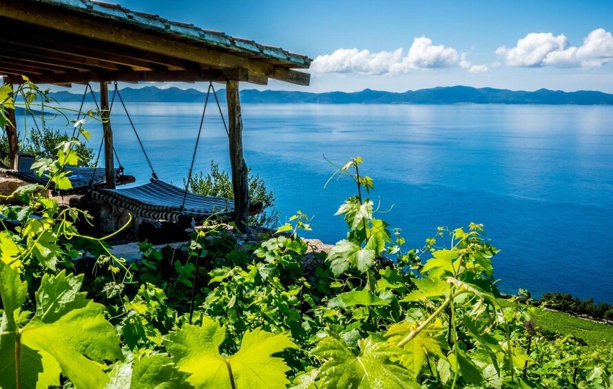 A vineyard with grapevines and a wooden pergola overlooking a calm lake with mountains in the background. 1