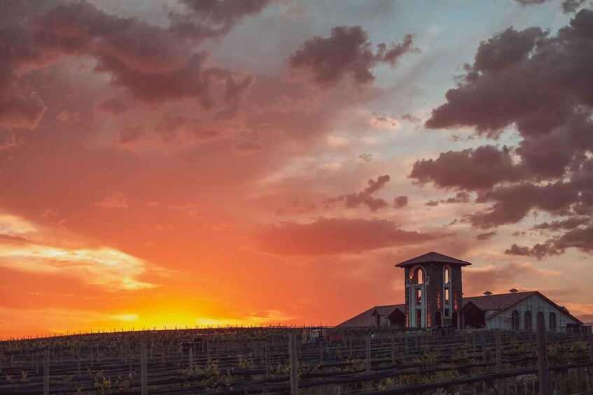 A vineyard at sunset with a tower and a building. 5