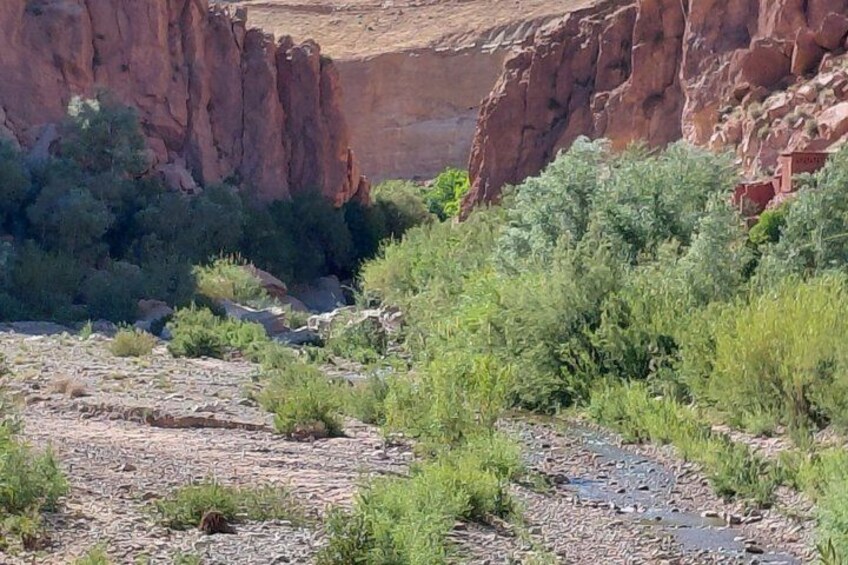 A rocky canyon with sparse vegetation and a small stream. 3