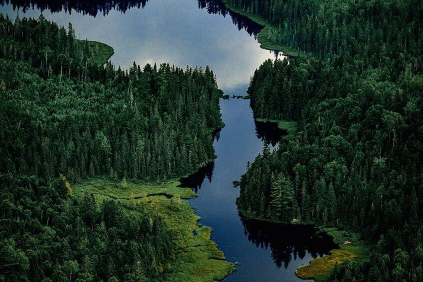 A forested landscape with a calm river. 4