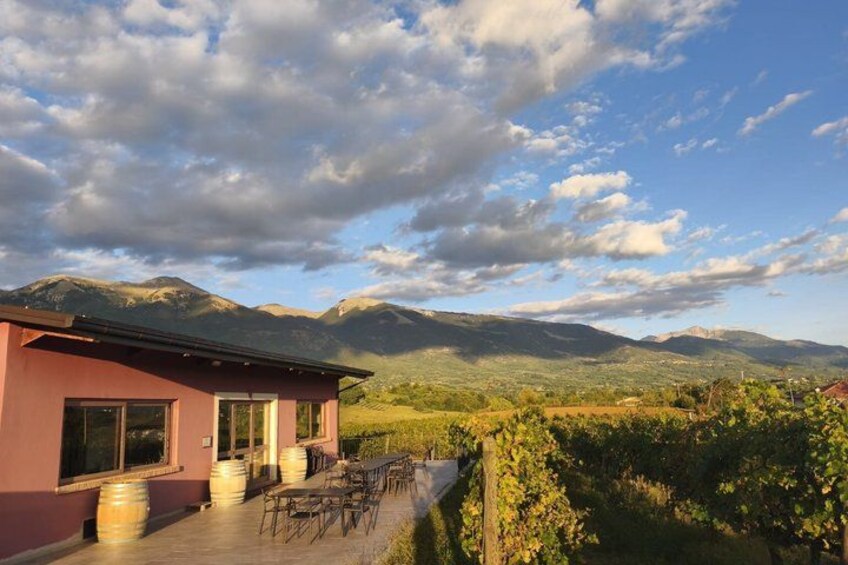 A building with a red facade, a patio with chairs, and a vineyard in the background. 3