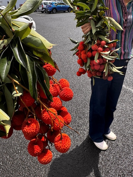 Una persona tiene in mano un mazzo di litchi rossi e un altro di foglie verdi. 3