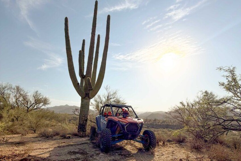 A desert landscape with a large saguaro cactus, a red off-road vehicle, and sparse vegetation. 1