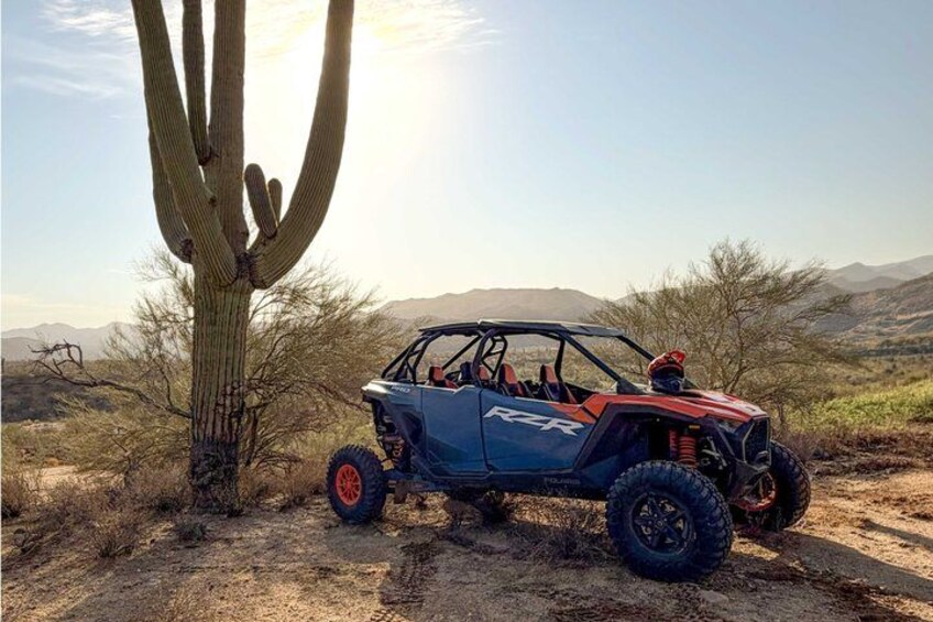 A blue off-road vehicle parked near a large cactus in a desert landscape with mountains in the background. 5