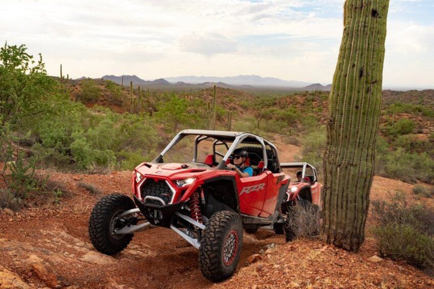 A red off-road vehicle parked near a cactus in a desert landscape. 2