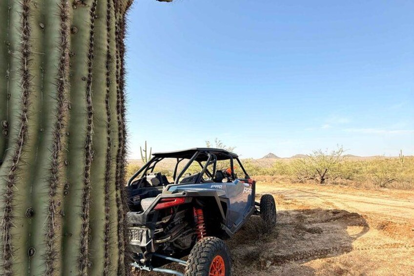 A vehicle parked near a cactus in a desert landscape. 4