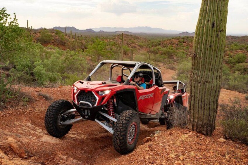 A red off-road vehicle on a dirt path with a cactus and desert vegetation in the background. 2