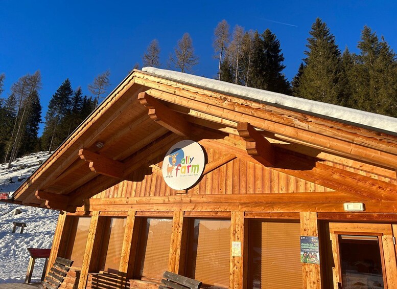 A wooden cabin with a sign that reads 'Ally Farm' in a snowy landscape with trees in the background. 3