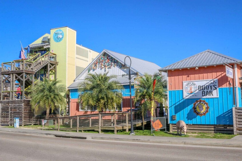 A colorful building with a sign that reads 'BUDDY'S BAR' and a pig statue in front. 5