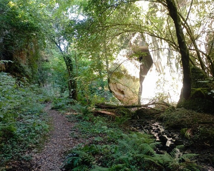 A forest path with dense foliage and a large rock formation. 1