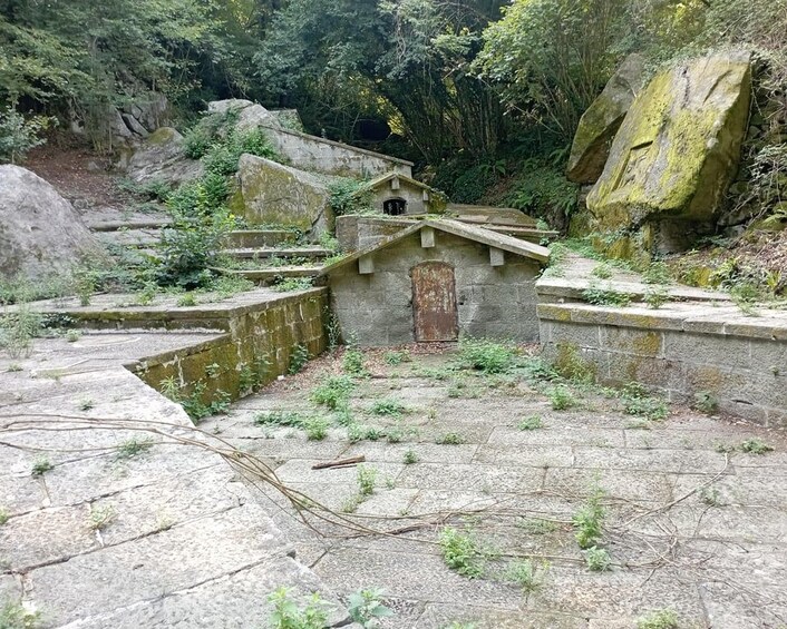 A stone structure with a door, surrounded by overgrown vegetation and large rocks. 5