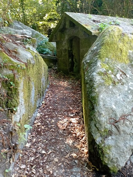 A stone pathway flanked by moss-covered rocks leading to a small stone structure. 4