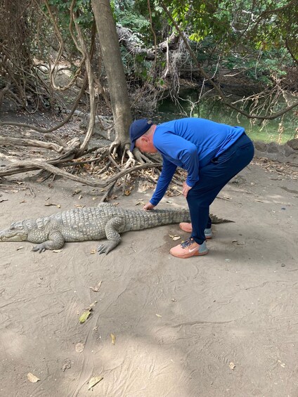 A person in blue clothing and a cap interacting with a large crocodile on a sandy ground surrounded by trees. 2