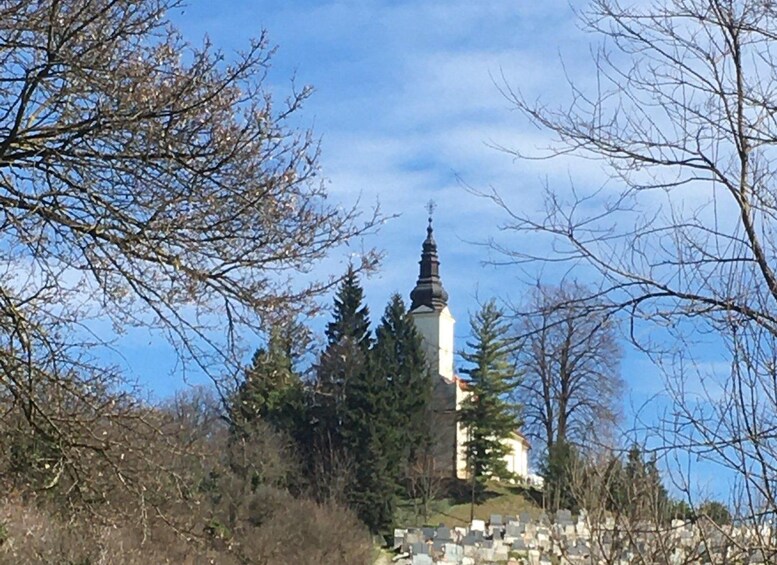 En kirke med et højt spir omgivet af træer og en stenvæg. 5