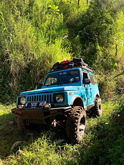 A blue off-road vehicle with luggage on top, parked in a grassy area. 5