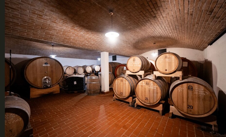 A cellar with wooden wine barrels stacked on racks. 1