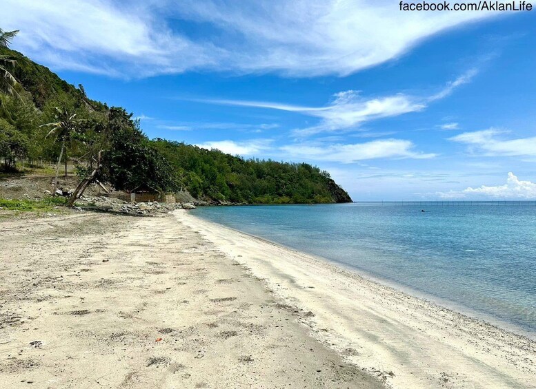 A sandy beach with clear blue water, a forested hill, and a clear sky. 1