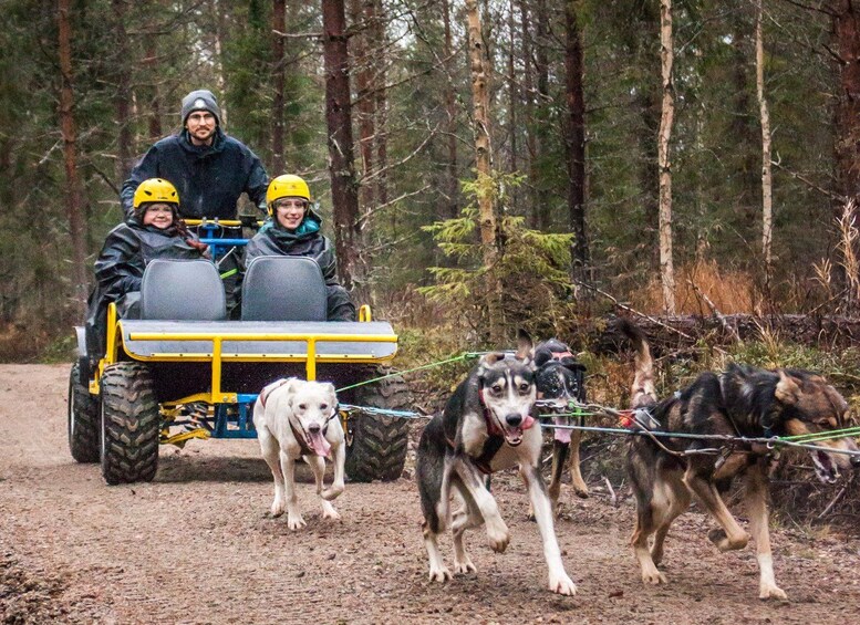 Kemijärvi: Husky Farm Visit with Wagon or Sled Ride 1