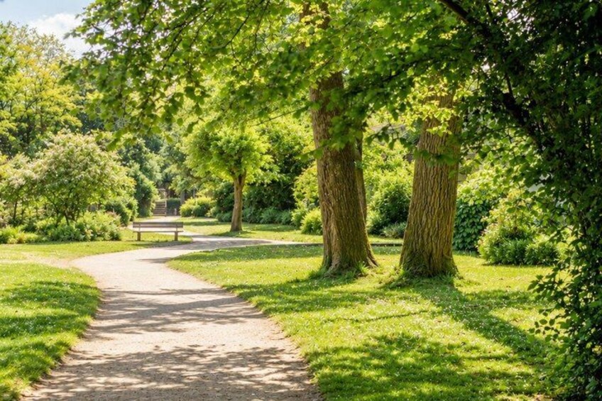 A park pathway with trees and a bench. 3