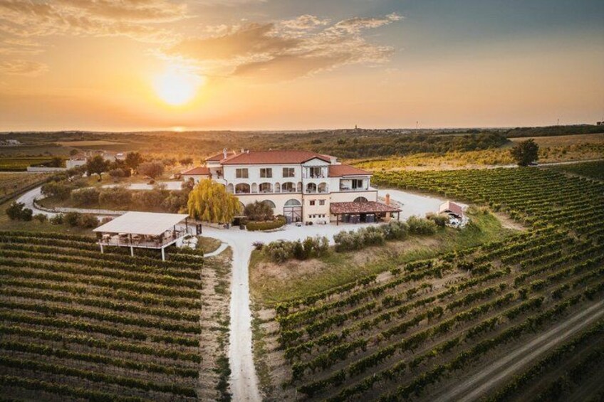 A vineyard with rows of grapevines, a large house with a red roof, and a sunset in the background. 3
