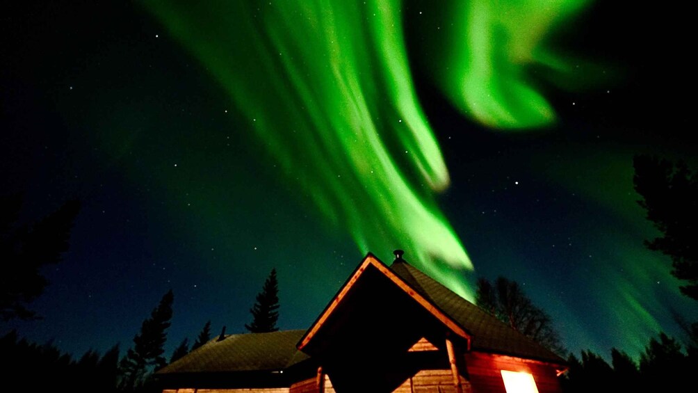Picture 5 for Activity Northern Lights Tour/Trip to a magical place 5