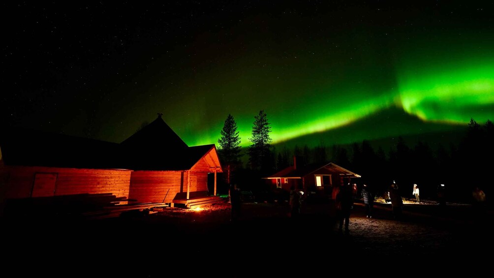Picture 7 for Activity Northern Lights Tour/Trip to a magical place 3