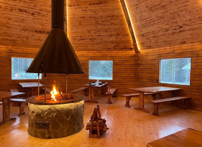 Picture 9 for Activity Northern Lights Tour/Trip to a magical place 2