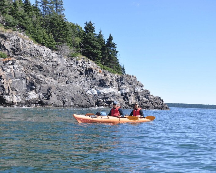 Two people kayaking on calm water with a rocky coastline and trees in the background. 3