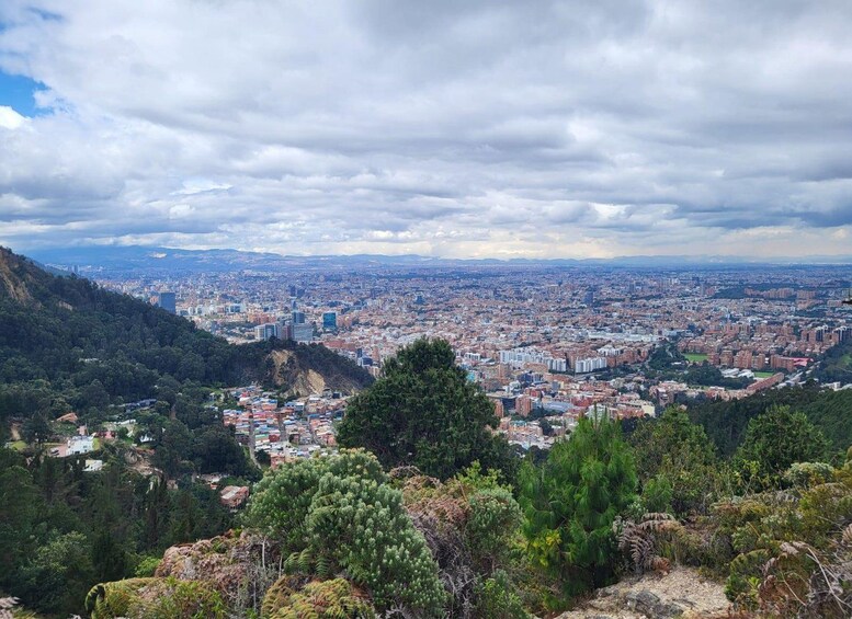 Picture 3 for Activity Bogotá - Usaquén: From the Forest to the Water: Ancestral Camino del Indio Trail 5