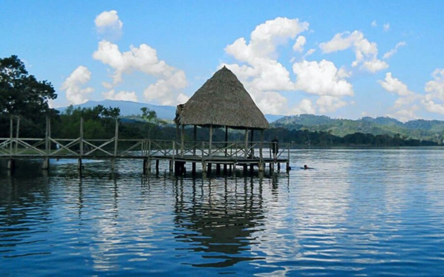 Picture 5 for Activity From Tarapoto: Sightseeing Tour to the Blue Lagoon with a Cruise 3