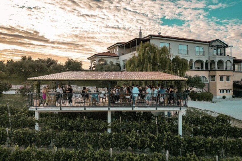 A vineyard with a covered outdoor seating area and a large building in the background. 1