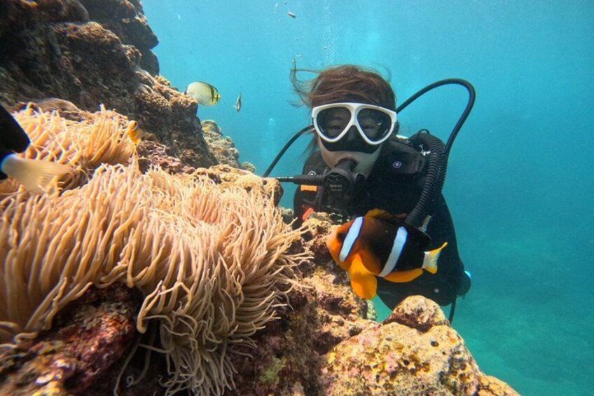 A diver with a scuba mask and snorkel, surrounded by anemones and fish. 3