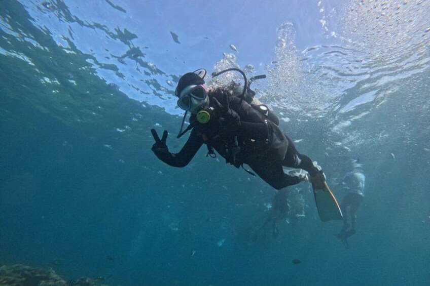 A diver underwater with a scuba tank and fins. 2