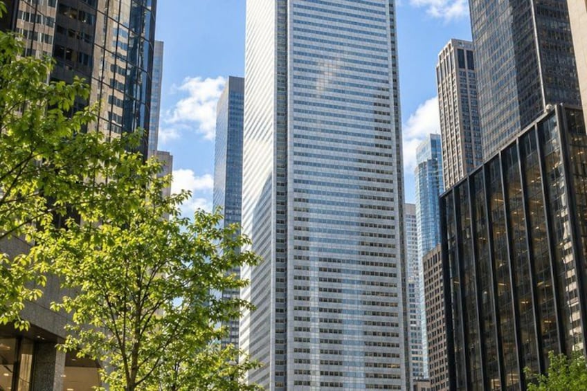 A cityscape with tall buildings, a clear sky, and a tree in the foreground. 1