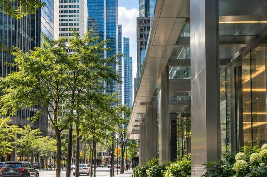 A city street lined with modern buildings, trees, and parked cars. 5