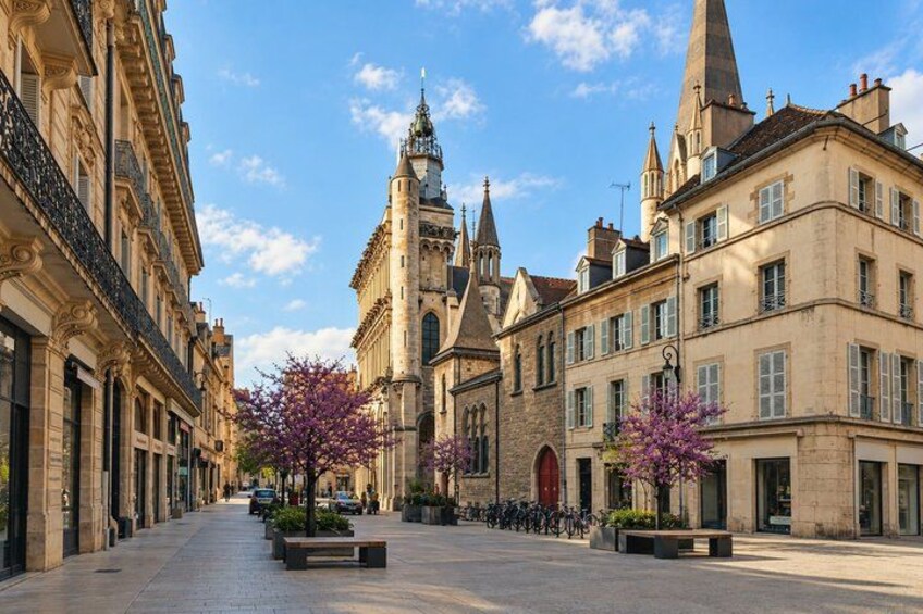 A historic street with buildings, a prominent church tower, and blooming trees. 4