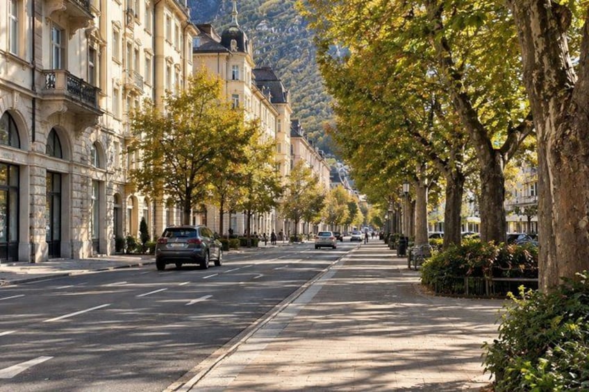 A tree-lined street with parked cars and buildings. 4