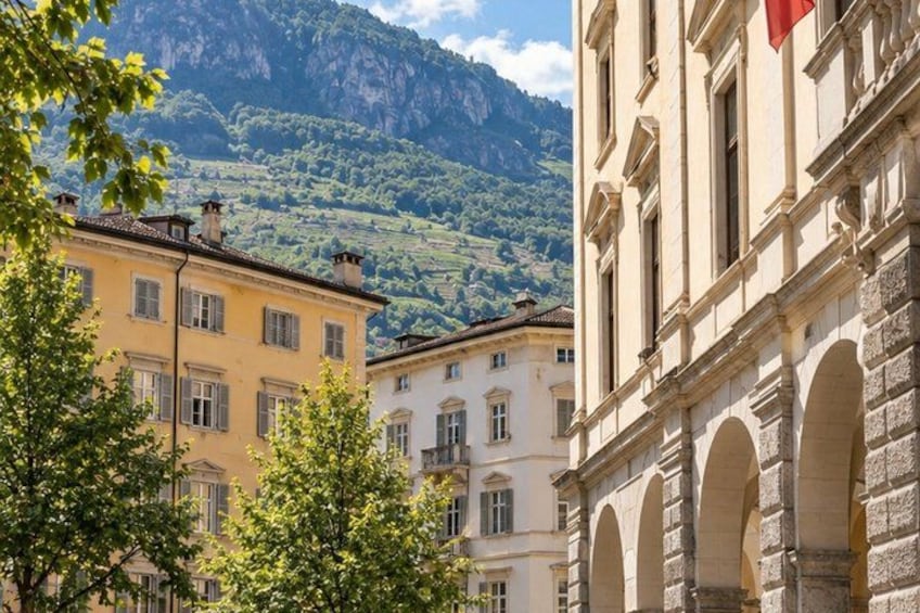 A town with buildings, trees, and a mountain in the background. 5